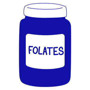 Compléments alimentaires 