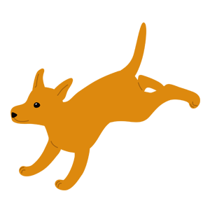 chien
