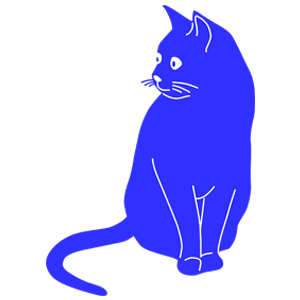 chat