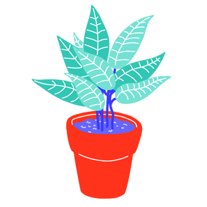 Plante
