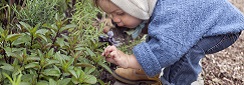 Un bébé d'environ 1 an 1/2 en pleine découverte de la nature