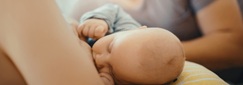un bébé en train de téter